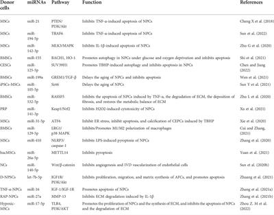 Exosomes and exosomal miRNAs: A new therapy for intervertebral disc degeneration